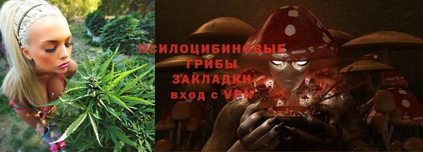 PSILOCYBIN Армянск